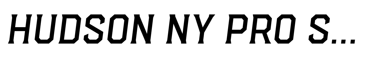 Hudson NY Pro Serif Light Itl